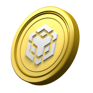 BNB coin, decorative, shown in the platform information section