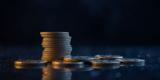Openness — straightforward platform details on the Pelican Sparhaven trading platform